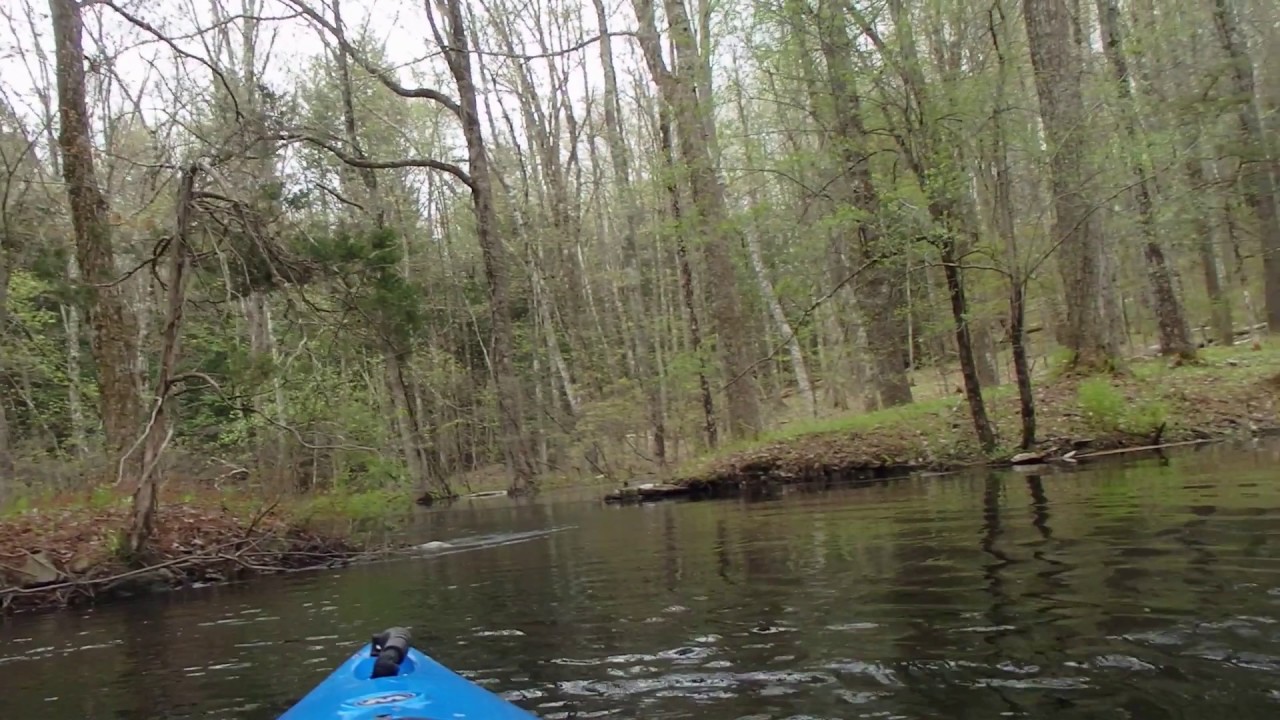 The joys of glade paddling Kayaking the PowWow River in East