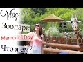 Vlog: Зоопарк, Покупка продуктов на неделю, Memorial Day в США | Tanya&#39;s Twins