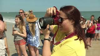 St. Johns County Today: Sea Turtles Release