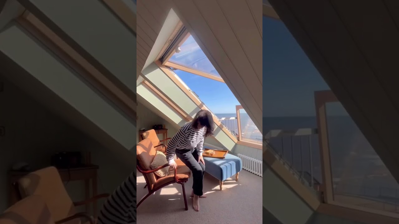 FAKRO Balcony Roof Windows