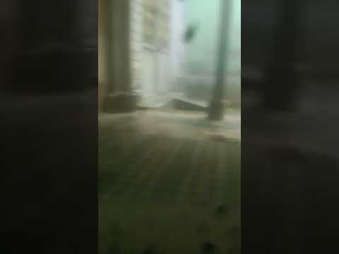 #funny