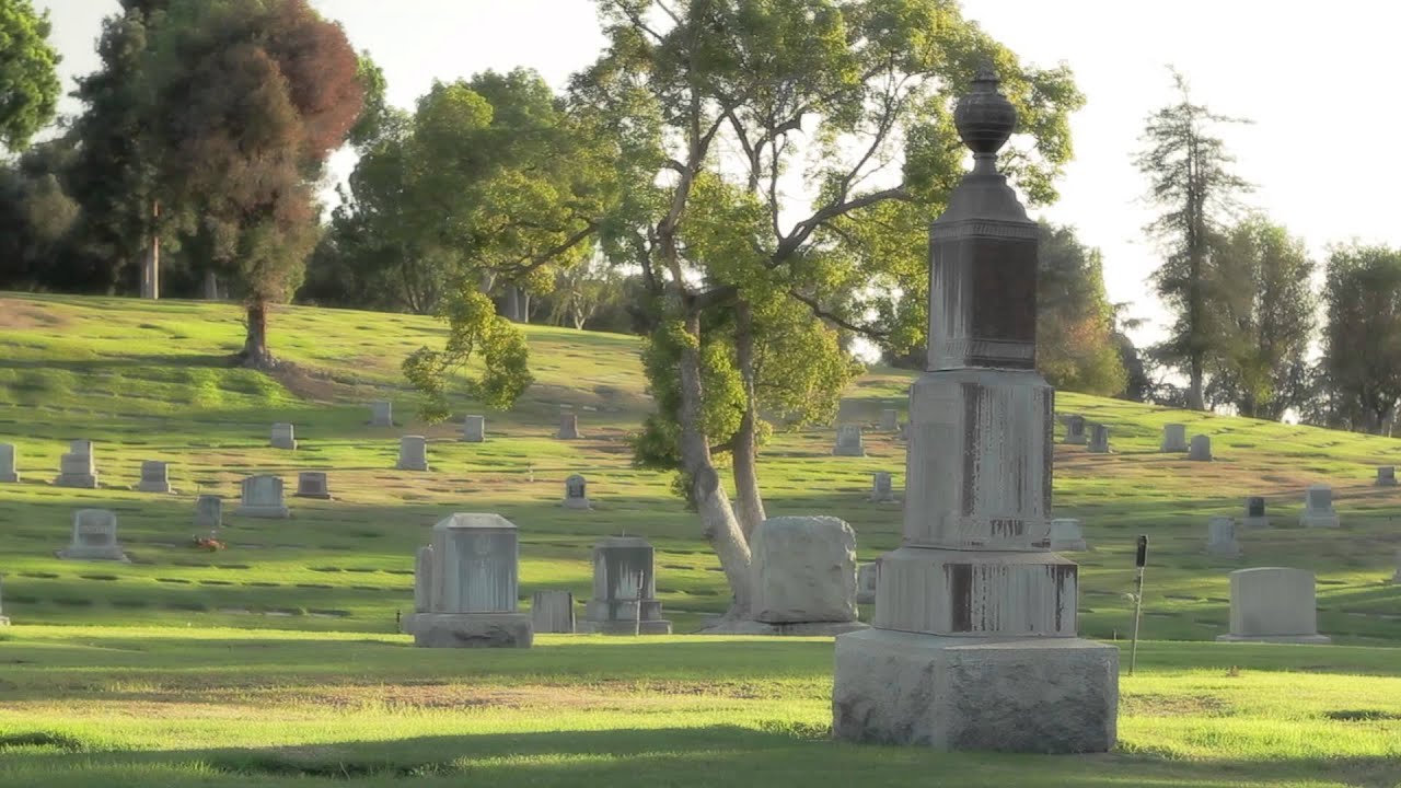 Rose Hill Rose Hill