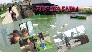 #ซูคาต้าคาเฟ่ อยุธยา (ZUCATA FARM) เข้าชมฟรี !!! สัตว์เยอะมาก