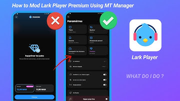 How to Remove a Purchase Lark Player Premium Using MT Manager