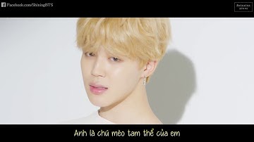[VIETSUB] BTS (방탄소년단) LOVE YOURSELF 承 Her 