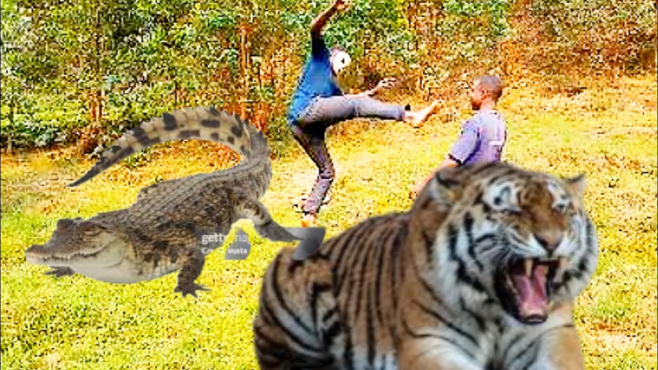 🔥best funny🤣trending new video😭😭 best movie must watch🔥😭no stop😭