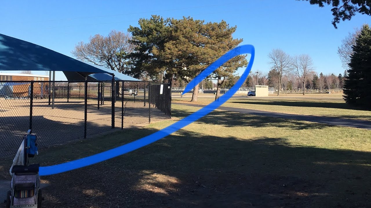 Disc Golf Ace Race Lions Park YouTube