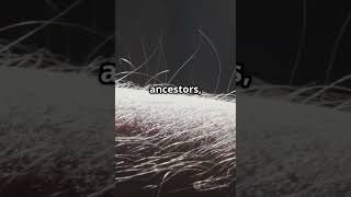 Your Goosebumps Have a Hidden Purpose