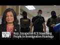 Rep. Pramila Jayapal: Trump Is Attacking "Every Part of the Legal Immigration System"