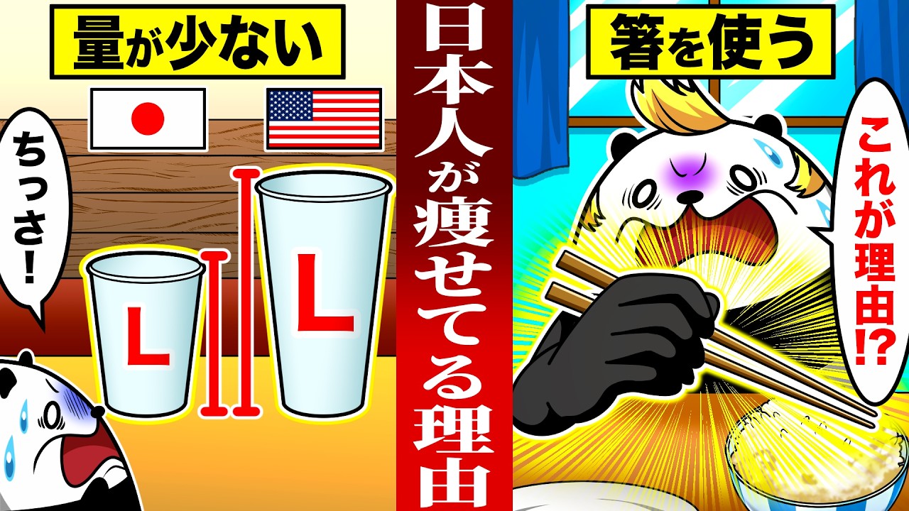 日本人がアメリカ人より痩せている意外な理由4選【アニメ】 - YouTube