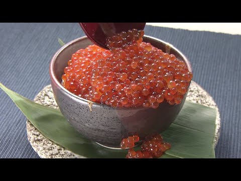 【秋の味覚がピンチ】“秋サケ”が激減の予測で北海道名産“イクラ”どうなる？…記録的不漁だった前年からさらに半減する見通し…漁業者も消費者も悲鳴 “魚離れ”心配する鮮魚店も 漁解禁は8月下旬
