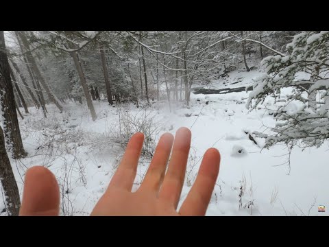 4K GoPro Winter Adventure ASMR | Sled Ride - Walk In The Forest - Removing Snow From Car +More ⛷️💤❄️