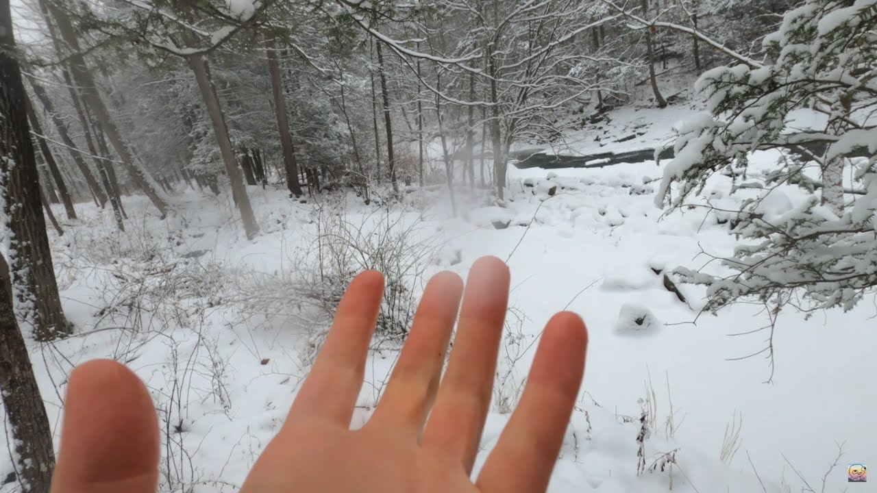 4K GoPro Winter Adventure ASMR | Sled Ride - Walk In The Forest - Removing Snow From Car +More ⛷️💤❄️