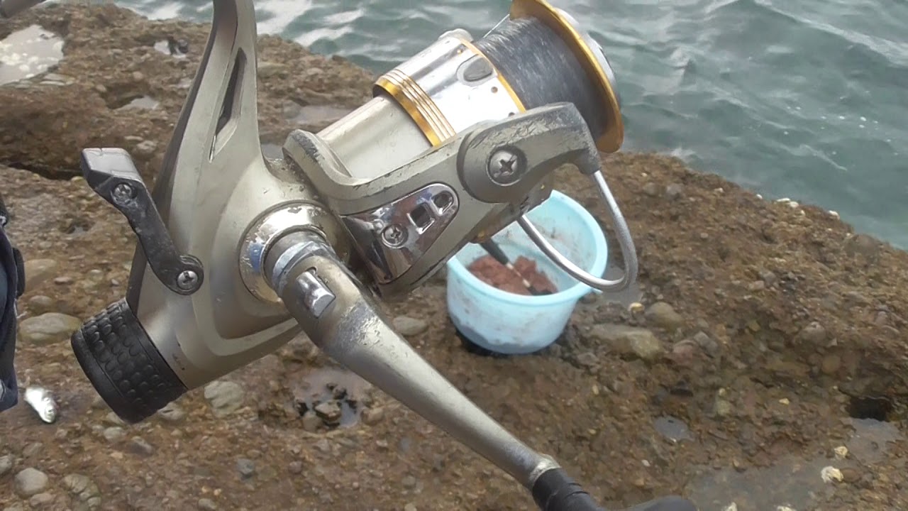 アオリイカ釣り初心者入門 ヤエン釣りリール基本的な取り扱い説明 タックル取り扱い紹介 和歌山 釣太郎 Youtube