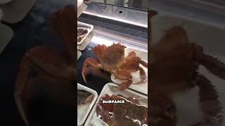 Реально свежий товар 🦀