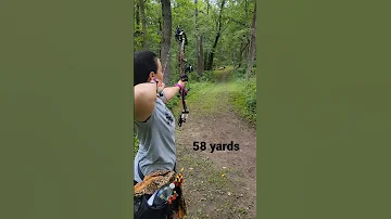 58 Yard Shot On A Bedded Elk Target Ishootxpedition Archery Bowandarrow Target Bow Woman 