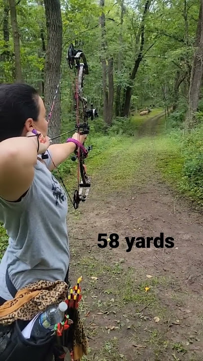 58 yard shot on a bedded elk target. #ishootxpedition #archery #bowandarrow #target #bow #woman