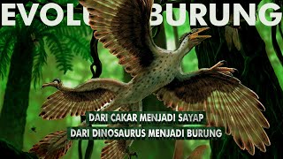 Bagaimana Dinosaurus Berevolusi Menjadi Burung? | Evolusi Burung/Unggas