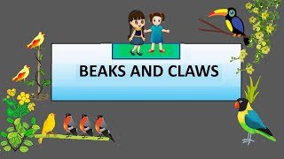 CBSE: Class 4: Science: Beaks and Claws of Birds screenshot 5