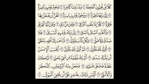 سورة القيامة | عبدالرحمن السديس