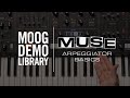 Muse | Arpeggiator Performance Basics