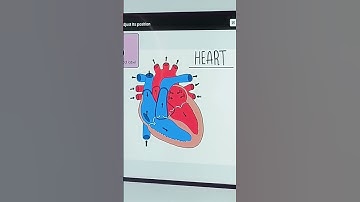 #quizizz #ai #image #questions #labeling