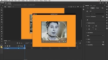 Importing External Video into Adobe Animate