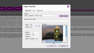 Goozmo: Insert an Image in the Text Editor