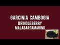 Garcinia Cambogia