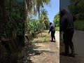 Roadside covered with too much grass ,we take the action.#public  #publicservice #cleanfluencer