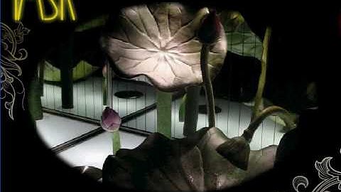 Digital Signage Adobe Flash Demo - TMSK created by 3RCast