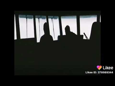 مهرجان الناس زي السمك
