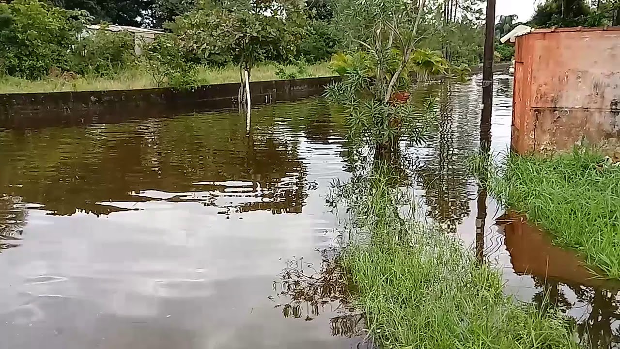 Jardim das flores .  YouTube