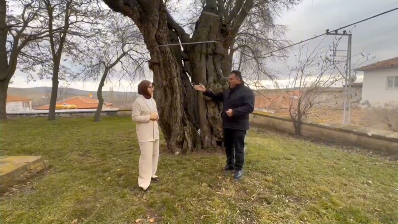 Yozgat Divanlı Köyü Cami Belgeselimiz