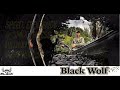 The winwin rcx 17  black wolf 60 hunting bow  30lbs w sharrow 31 arrows  test