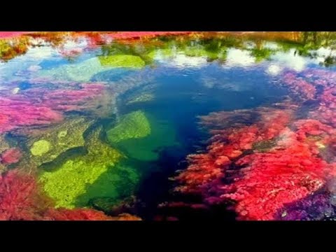 Video: Hämmastav Planeet: Mitmevärviline Caño Cristalesi Jõgi