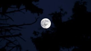 Full Moon (FL Studio 12)