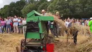 Malla na Romaría Labrega de Guitiriz
