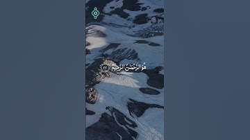بلال دربالي سورة الحشر | هو الله الذي لا إله إلا هو عالم الغيب والشهادة 🎧 تلاوة خاشعة