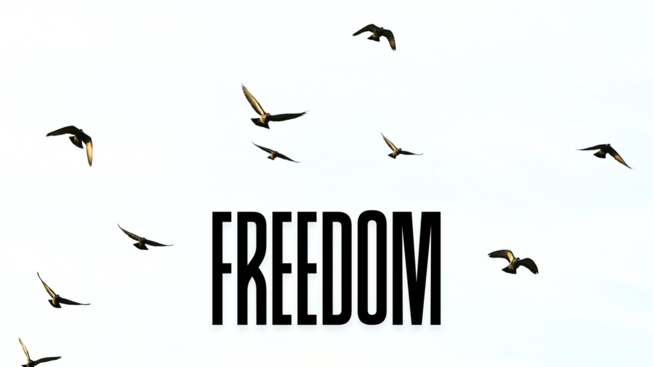 Freedom But God Jeremiah 20 11 14