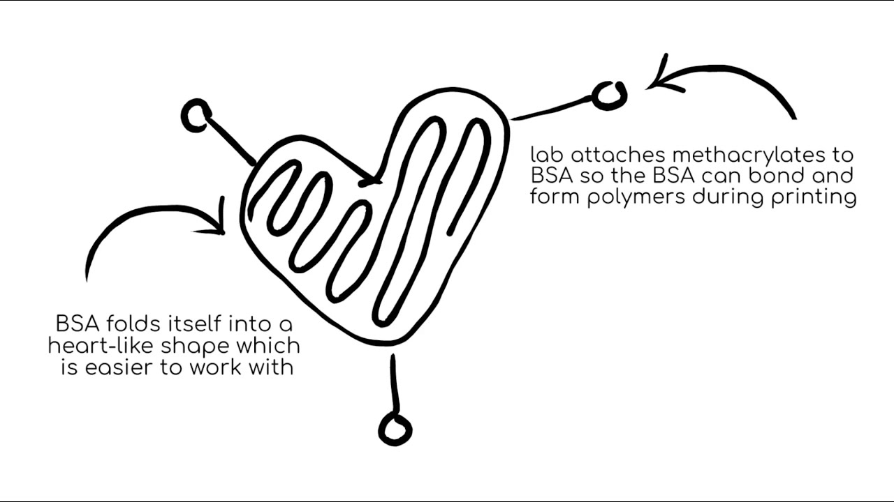 Researching Biodegradable Plastics: The Nelson Research Lab