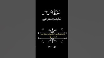 #القرآن_الكريم#qurankarim#سورة_يس#Surat Yassin#تلاوة_خاشعة#راحة_نفسية#اكسبلور