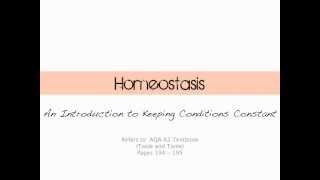 Introduction to Homeostasis