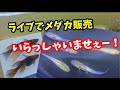 ライブオークション【メダカ】
