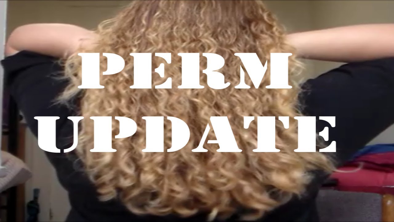 DID MY CURLS FALL OUT?! PERM UPDATE YouTube