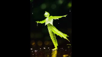 Rabb Warga | Bad Newz | Vicky Kaushal | Triptii Dimri | Jubin Nautiyal | Abhijeet | Shayra Apoorva