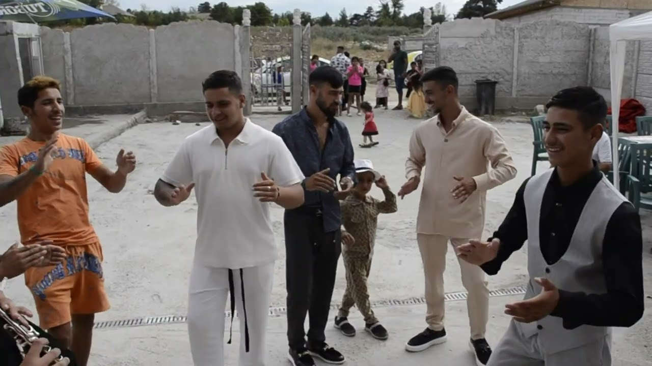 2 HD logodna tinerilori it si filis