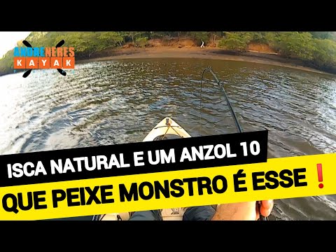 QUE PEIXE MONSTRO É ESSE! O que você faria nessa situação? Pescaria!