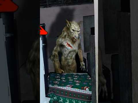 Encontrei Pegadas de Lobisomem na minha casa! #folclore #horror #lobisomem #suspense #lendas