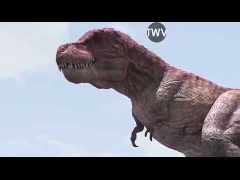 Video: Acrocantosaurus: Dia Bukan Tirex, Dan Lebih Buruk Lagi! - Pandangan Alternatif
